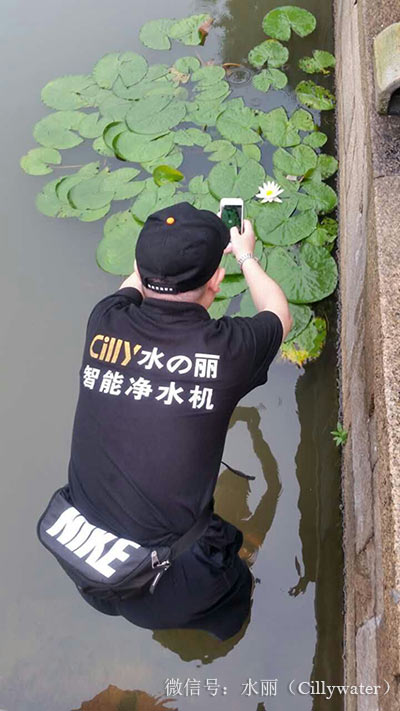 水麗凈水器 消夏之旅 西塘古鎮